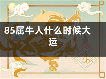 85属牛人什么时候大运