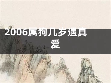 2006属狗几岁遇真爱
