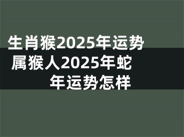 生肖猴2025年运势 属猴人2025年蛇年运势怎样