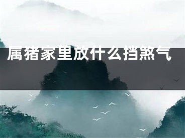 属猪家里放什么挡煞气 