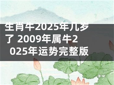 生肖牛2025年几岁了 2009年属牛2025年运势完整版