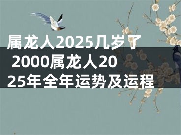 属龙人2025几岁了 2000属龙人2025年全年运势及运程
