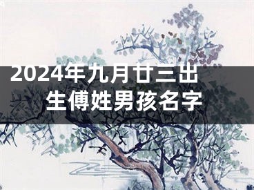 2024年九月廿三出生傅姓男孩名字