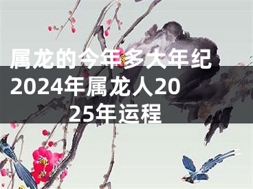 属龙的今年多大年纪 2024年属龙人2025年运程