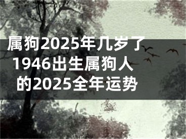 属狗2025年几岁了 1946出生属狗人的2025全年运势