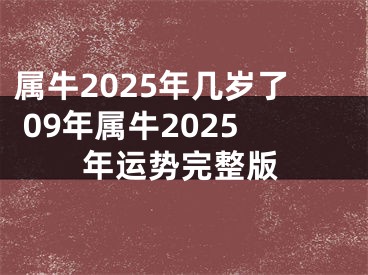 属牛2025年几岁了 09年属牛2025年运势完整版