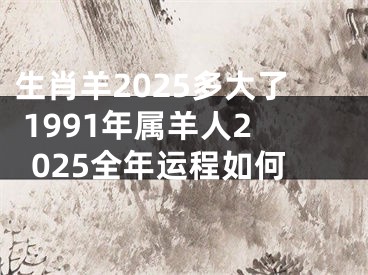 生肖羊2025多大了 1991年属羊人2025全年运程如何