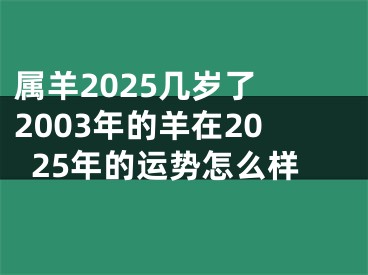 属羊2025几岁了 2003年的羊在2025年的运势怎么样