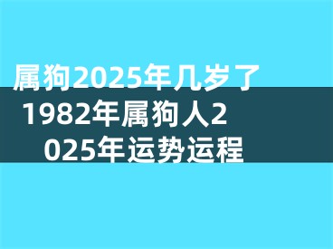 属狗2025年几岁了 1982年属狗人2025年运势运程