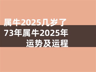 属牛2025几岁了 73年属牛2025年运势及运程