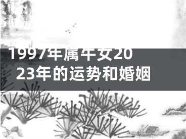 1997年属牛女2023年的运势和婚姻