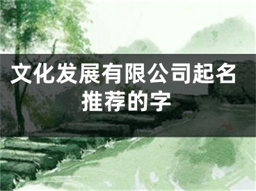 文化发展有限公司起名推荐的字