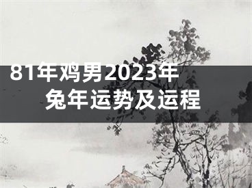 81年鸡男2023年兔年运势及运程