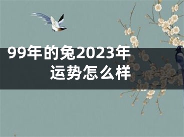 99年的兔2023年运势怎么样