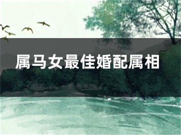 属马女最佳婚配属相