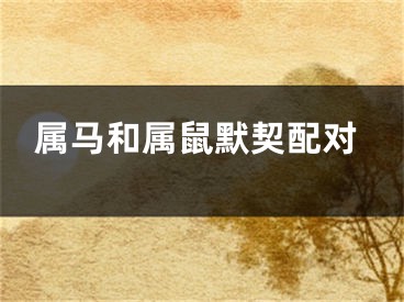 属马和属鼠默契配对