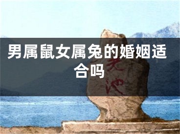 男属鼠女属兔的婚姻适合吗