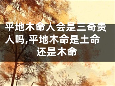 平地木命人会是三奇贵人吗,平地木命是土命还是木命