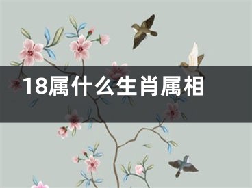 18属什么生肖属相