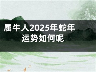属牛人2025年蛇年运势如何呢 