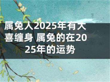 属兔人2025年有大喜缠身 属兔的在2025年的运势
