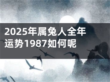2025年属兔人全年运势1987如何呢 
