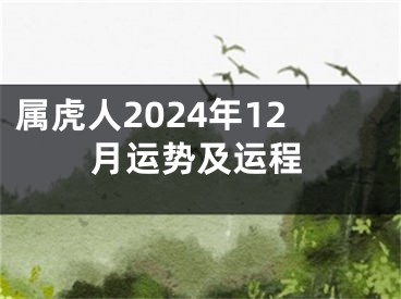 属虎人2024年12月运势及运程