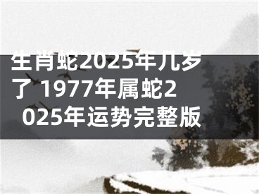 生肖蛇2025年几岁了 1977年属蛇2025年运势完整版