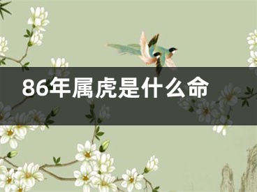 86年属虎是什么命