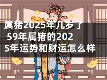 属猪2025年几岁了 59年属猪的2025年运势和财运怎么样