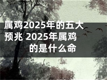 属鸡2025年的五大预兆 2025年属鸡的是什么命
