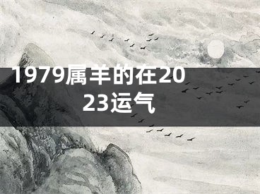 1979属羊的在2023运气