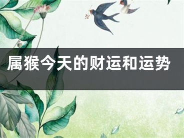 属猴今天的财运和运势