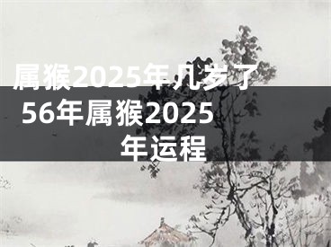 属猴2025年几岁了 56年属猴2025年运程