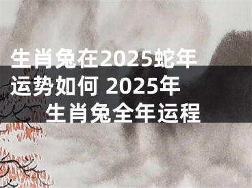 生肖兔在2025蛇年运势如何 2025年生肖兔全年运程