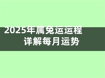 2025年属兔运运程详解每月运势