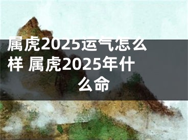 属虎2025运气怎么样 属虎2025年什么命