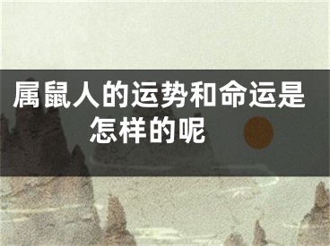 属鼠人的运势和命运是怎样的呢 