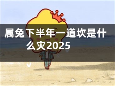 属兔下半年一道坎是什么灾2025