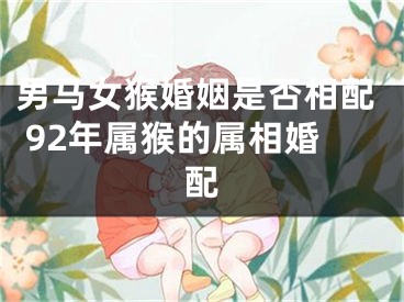 男马女猴婚姻是否相配 92年属猴的属相婚配