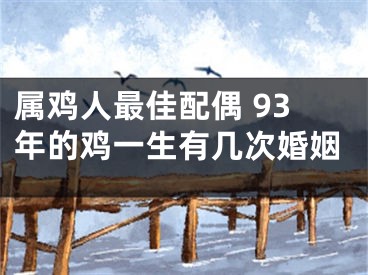 属鸡人最佳配偶 93年的鸡一生有几次婚姻