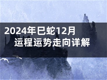 2024年巳蛇12月运程运势走向详解