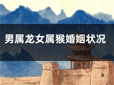 男属龙女属猴婚姻状况