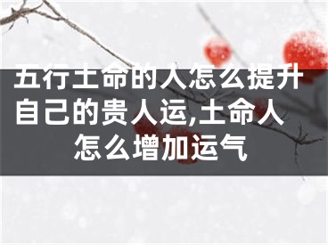 五行土命的人怎么提升自己的贵人运,土命人怎么增加运气