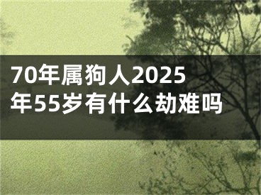 70年属狗人2025年55岁有什么劫难吗