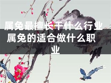 属兔最擅长干什么行业 属兔的适合做什么职业