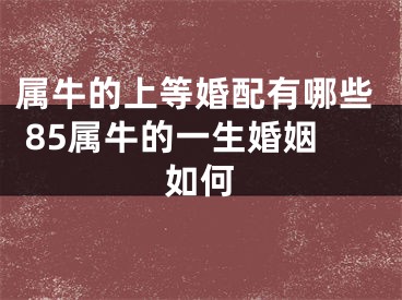 属牛的上等婚配有哪些 85属牛的一生婚姻如何