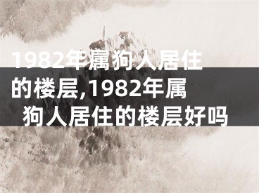1982年属狗人居住的楼层,1982年属狗人居住的楼层好吗
