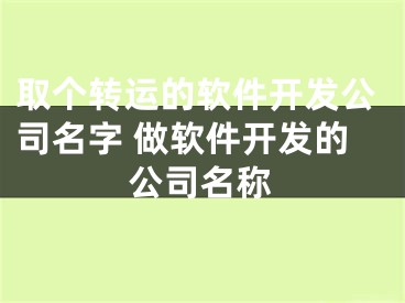 取个转运的软件开发公司名字 做软件开发的公司名称