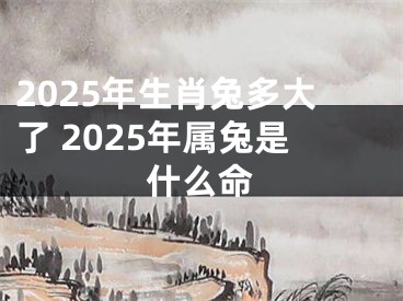 2025年生肖兔多大了 2025年属兔是什么命